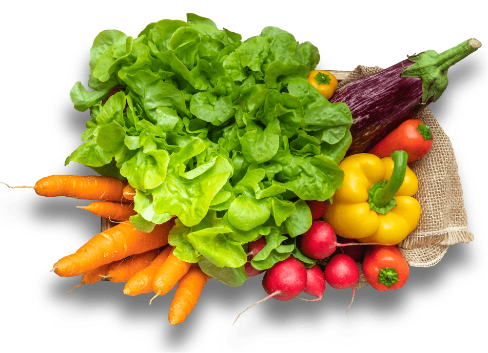 100% Quality Foods