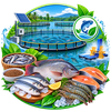 Fish & Sustainable Aquaculture