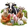 Livestock