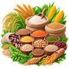 Grains, Cereals & Legumes